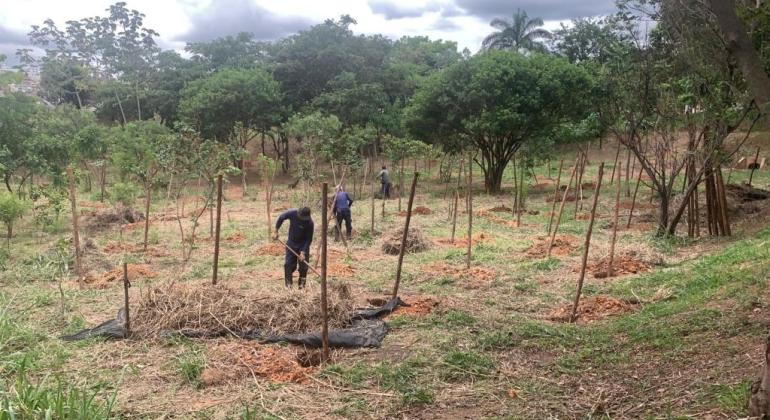 Parque Vila Pinho recebe evento que une educação ambiental e cultura no sábado Parque Vila Pinho recebe evento que une educação ambiental e cultura no sábado