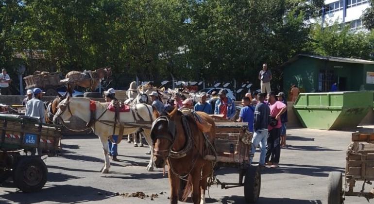 Cavalos e carroceiros.