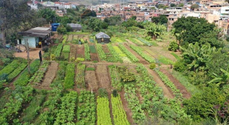Chefs de cozinha conhecem hortas comunitárias de Belo Horizonte Horta Comunitária