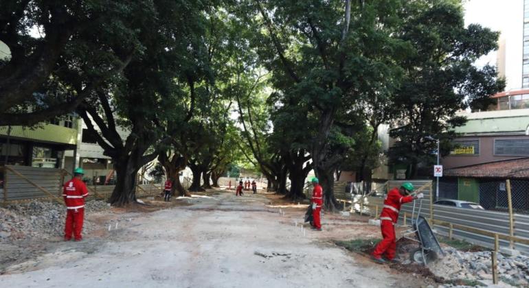 Revitalização da Bernardo Monteiro inclui plantio de 29 árvores