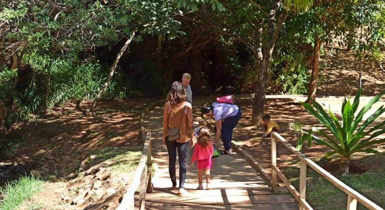 Trilhas gratuitas apresentam a biodiversidade de parques municipais