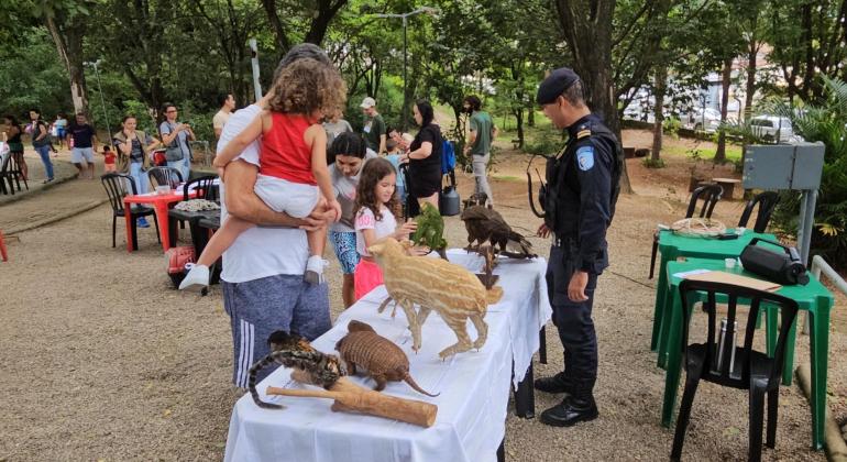Programação gratuita de férias começa na próxima quinta-feira (10) em 19 parques