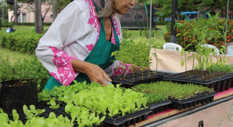 Feira de Agricultura Urbana tem edição especial nesta quinta-feira Feira de Agricultura Urbana tem edição especial nesta quinta-feira