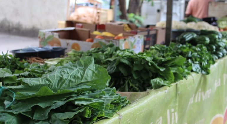 Verduras na feira 