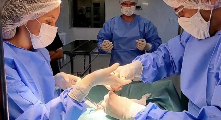 Complexo Público Veterinário conclui primeiro semestre com mais de 900 cirurgias