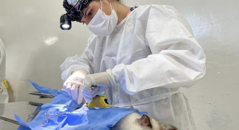 Agenda para castração gratuita de cães e gatos será aberta nesta quinta-feira Agenda para castração gratuita de cães e gatos será aberta nesta quinta-feira