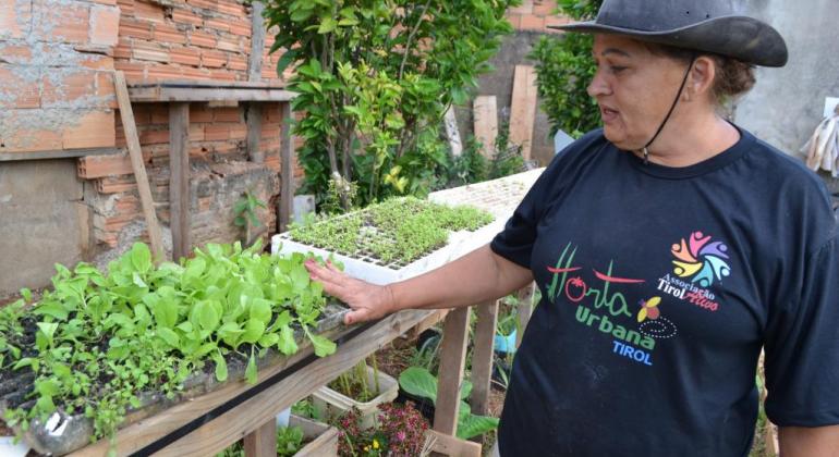 Mulher com camiseta e chapéu e camiseta coloca a mão em mudas suspensas de horta comunitária. 