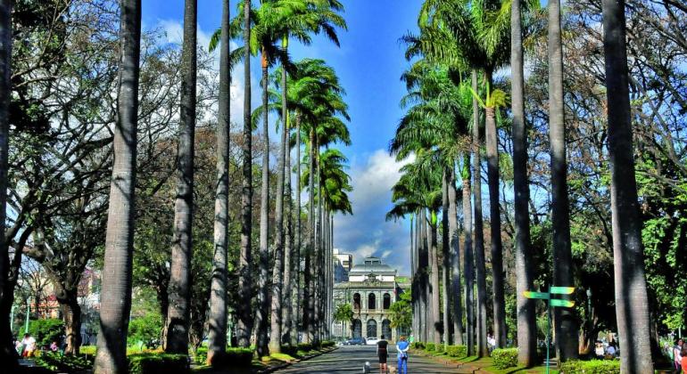 Palácio da Liberdade visto ao fundo, com palmeiras da Praça da Liberdade, durante o dia. 