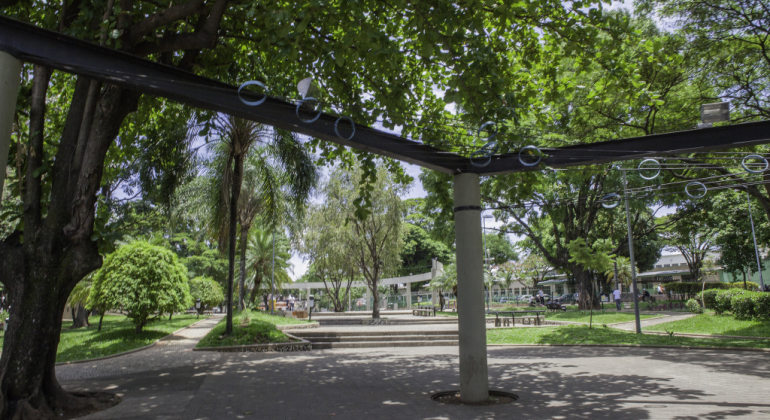 Sombra de árvore da Praça Duque de Caxias, a partir da qual se vê bancos da praça, pessoas passeando, gramado, árvores e plantas. 