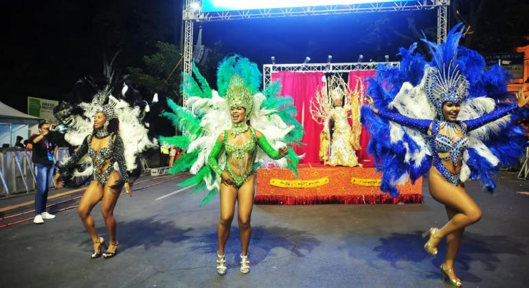 Desfile dos Blocos Caricatos 2019 - Estivadores do Havaí