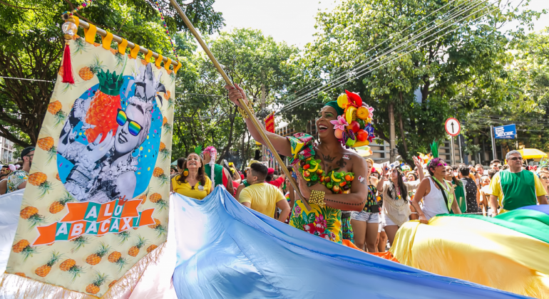 Foto: Junia Lanari Mulher com roupa de frutas porta o estandarte do Bloco Alô Abacaxi, ao fundo, mais de vinte foliões.