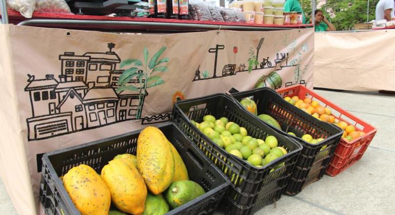 Parque Lagoa do Nado recebe Circuitos de Segurança Alimentar e Nutricional Parque Lagoa do Nado recebe Circuitos de Segurança Alimentar e Nutricional