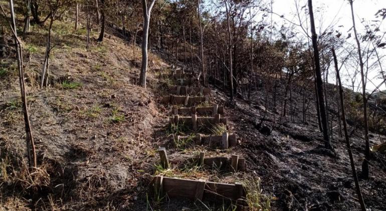 Área atingida por queimadas na Serra do Engenho Nogueira será revitalizada