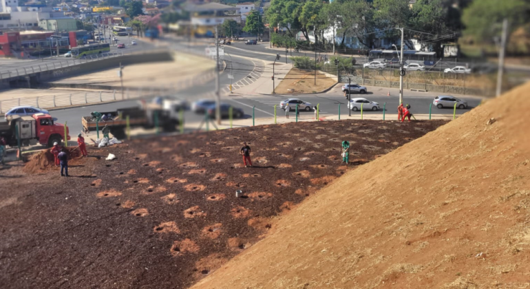 Servidores da PBH e voluntários realizarão plantio de árvores em Venda Nova Servidores da PBH e voluntários realizarão plantio de árvores em Venda Nova