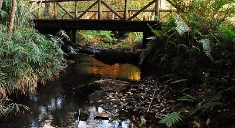 Nascente de água em Belo Horizonte