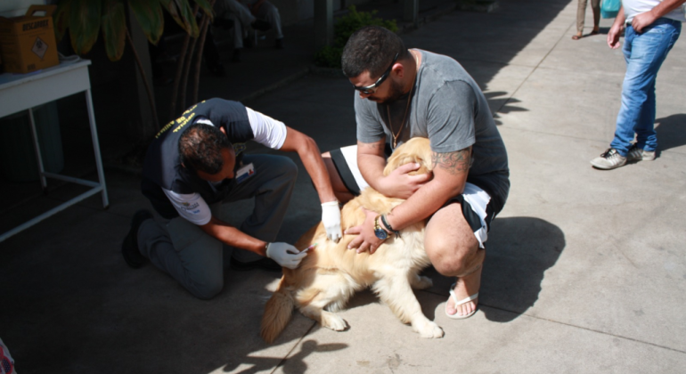 PBH realiza campanha de vacinação antirrábica animal neste sábado, dia 23 PBH realiza campanha de vacinação antirrábica animal neste sábado, dia 23