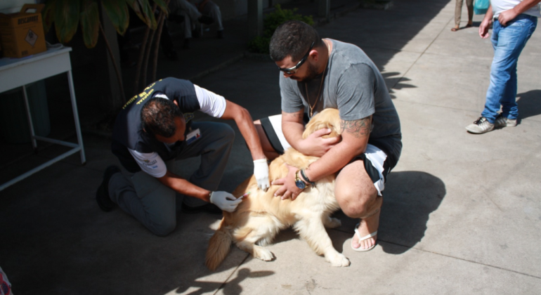 PBH realiza campanha de vacinação antirrábica animal neste sábado, dia 23