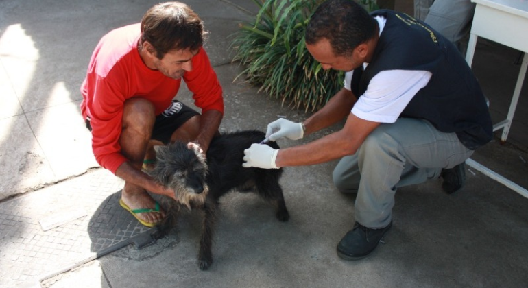 Prefeitura realiza campanha de vacinação contra a raiva animal Prefeitura realiza campanha de vacinação contra a raiva animal
