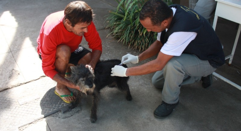  Prefeitura realiza campanha de vacinação contra a raiva animal