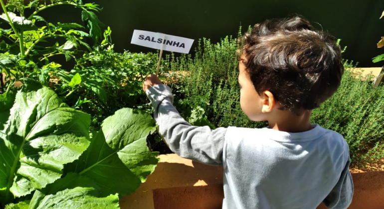 Plantio de hortas nas escolas estimula hábitos alimentares saudáveis entre os estudantes
