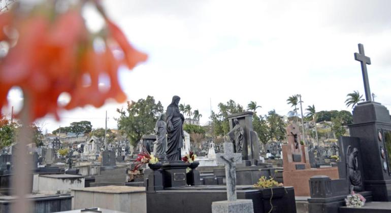  Cemitérios Municipais abrem inscrições para venda de flores no Dia de Finados 