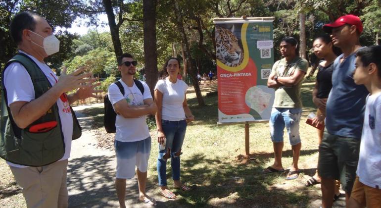 Zoológico de BH participa de campanha contra atropelamento de animais silvestres Zoológico de BH participa de campanha contra atropelamento de animais silvestres