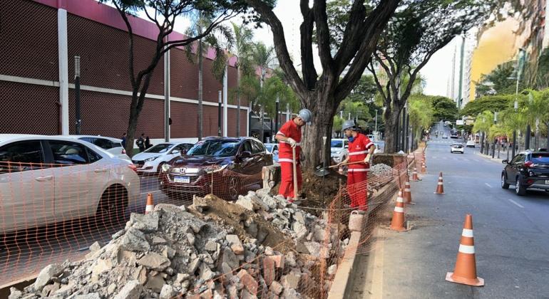 PBH revitaliza canteiro central da Avenida Augusto de Lima 