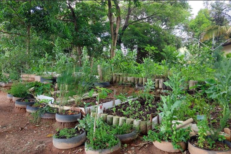 Espaço com várias plantas no centro de agroecologia 