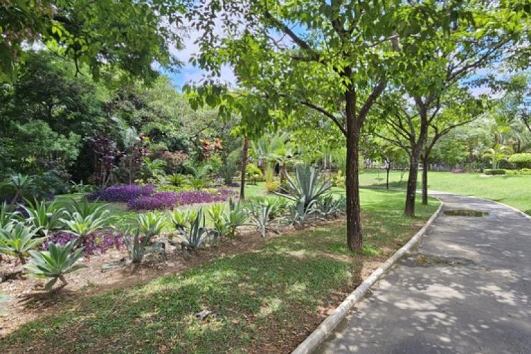 Parque Cássia Eller comemora 24 anos com atividades de educação ambiental e lazer neste sábado (1º) Foto do Parque Cássia Eller, local aberto com plantas de pequeno, médio e grande porte, na lateral direita um caminho asfaltado para andar pelo parque.