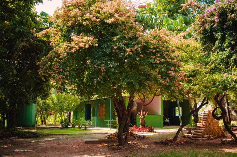 Centro de Agroecologia no bairro Estoril celebra Dia das Mães neste sábado (9) Centro de Agroecologia no bairro Estoril celebra Dia das Mães neste sábado (9)