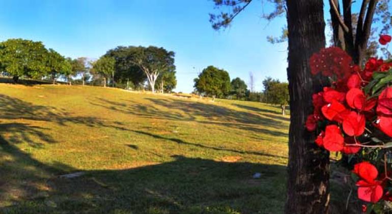 Área verde do Cemitério da Consolação 