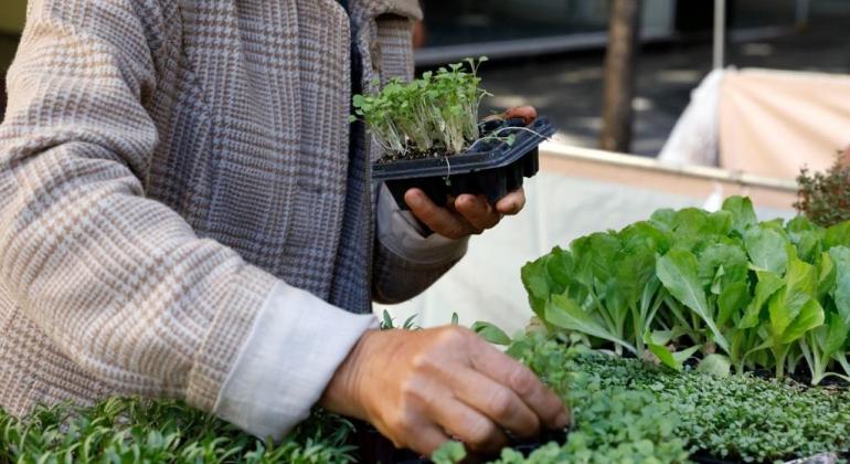 Prefeitura e parceiros realizam edição especial da Feira de Agricultura Urbana 