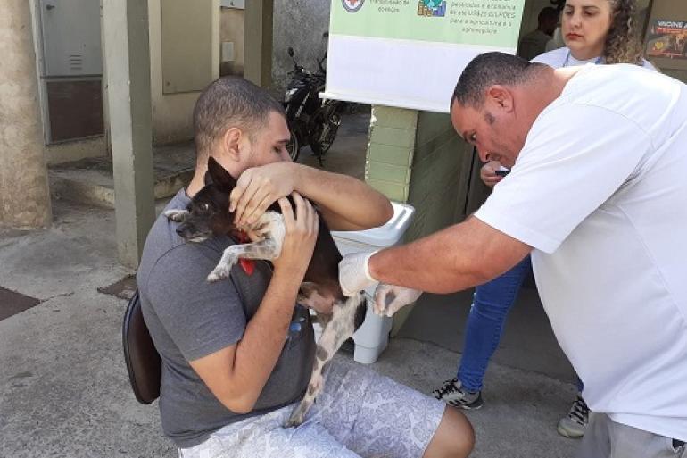 A foto registra o momento da aplicação de uma vacina antirrábica em um cão de porte pequeno a médio. 