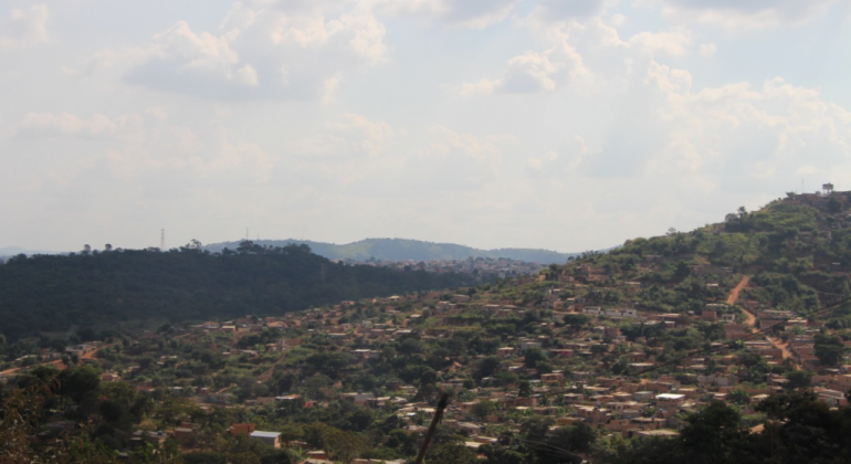 PBH seleciona organização para realizar atividades de agroecologia PBH seleciona organização para realizar atividades de agroecologia