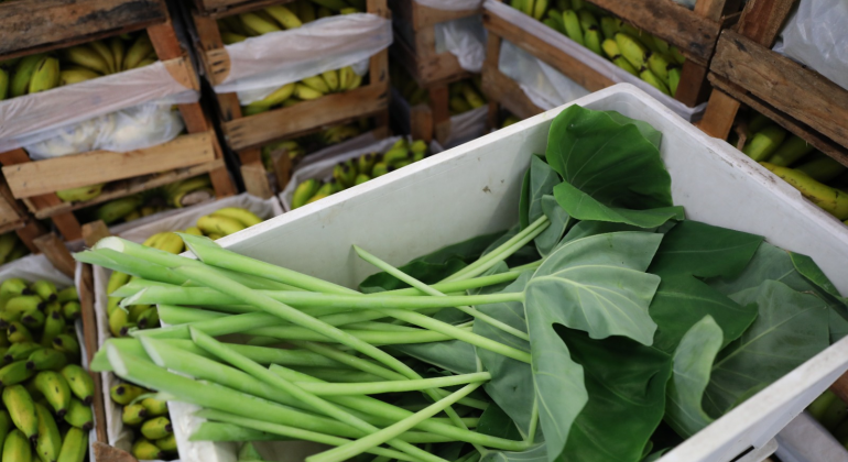 Prefeitura de Belo Horizonte qualifica profissionais na área de manipulação de alimentos 