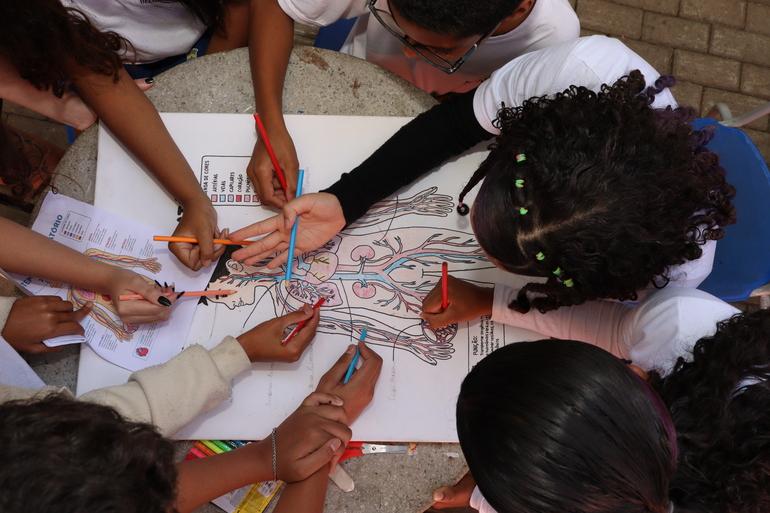 Crianças em volta de uma cartolina colorem um desenho do corpo humano 