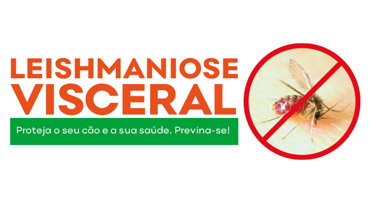 Prefeitura atua para combater leishmaniose e proliferação do mosquito-palha
