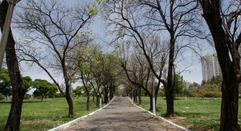 PBH anuncia flexibilização nos cemitérios públicos municipais Cemitério da Paz