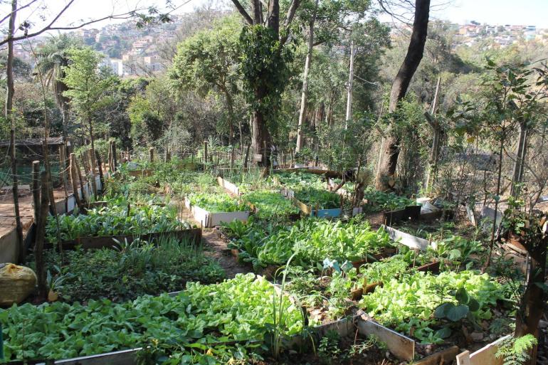 Oficina "Prato Colorido" leva educação nutricional aos CEVAEs Morro das Pedras e Taquaril