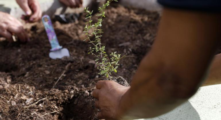 PBH prorroga inscrições para o projeto Chá de Saberes PBH prorroga inscrições para o projeto Chá de Saberes