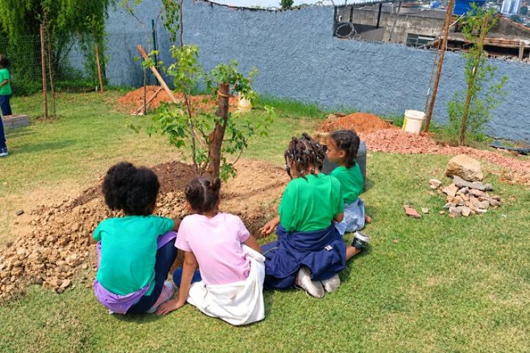 Dia da Árvore é marcado pelo plantio de mudas e ações de educação ambiental na Emei Serra Verde Crianças agachadas ao redor de uma muda de árvore plantada em escola municipal de Belo Horizonte.