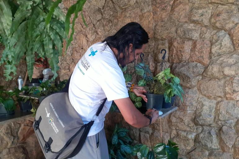 PBH convoca a população a denunciar focos de criadouros do Aedes aegypti para o combate à dengue, zika e chikungunya Agente de Combate a Endemias (ACE) da Zoonoses verificando um prato de planta durante vistoria.