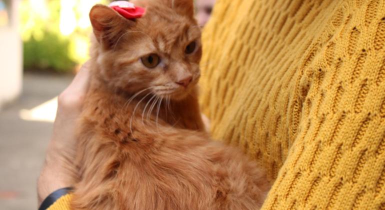 Inscrições abertas até 12 de novembro para o Fórum Ambiental Causa Animal