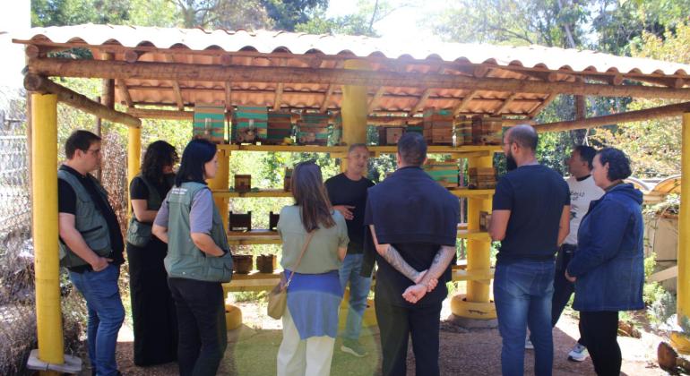Biofábrica de joaninhas e meliponários colocam BH na rota do turismo sustentável