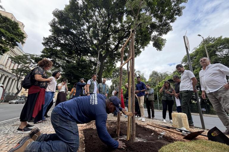 Prefeitura de BH alcança a meta de 50 mil árvores plantadas em 2025