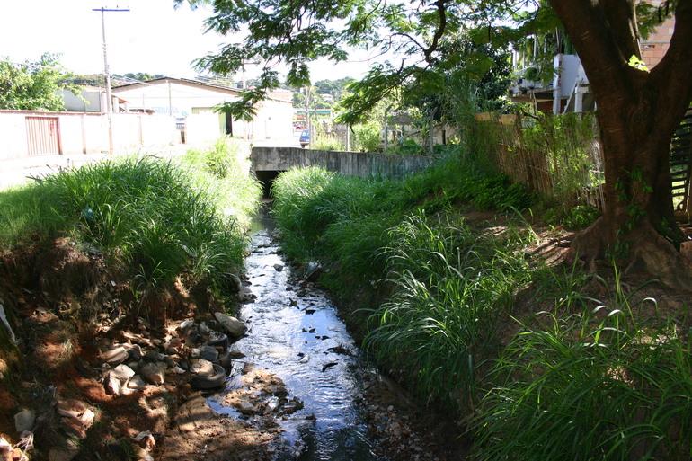 Imagem de um córrego urbano localizado em Belo Horizonte, ladeado por vegetação e árvores