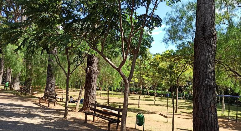  Atividades ambientais movimentam o Parque Jacques Cousteau neste domingo 