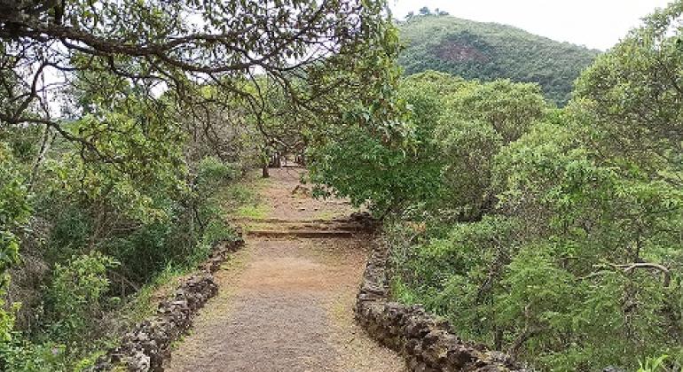 Trilha do Cerrado celebra o dia do bioma no Parque das Mangabeiras