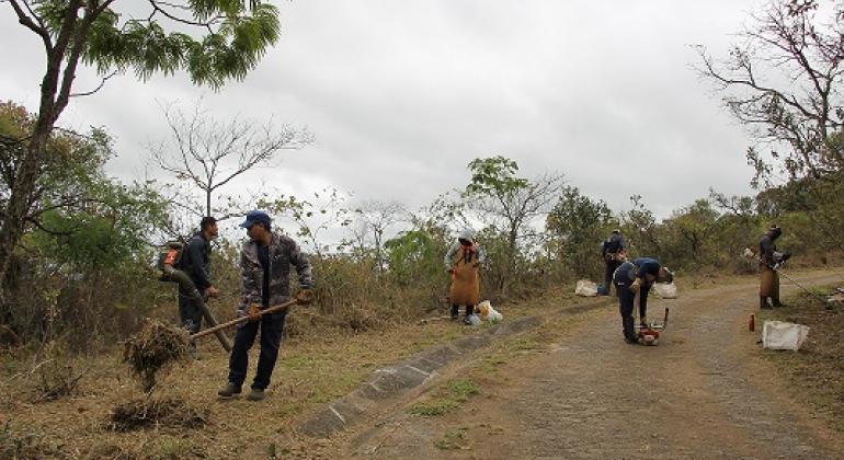 Ações preventivas da PBH reduzem em 77% os incêndios em parques municipais