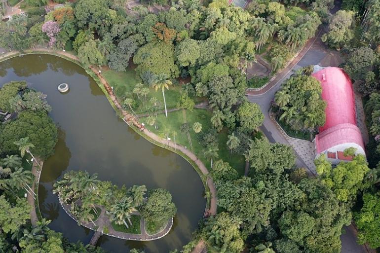 Parque Municipal oferece percurso guiado inclusivo ao ar livre neste final de semana Vista aérea do Parque Municipal, com a lagoa e o teto do Teatro Francisco Nunes em meio ao verde